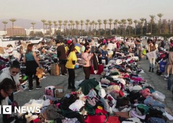Los lugareños usan TikTok para recaudar donaciones para las víctimas del incendio de Los Ángeles