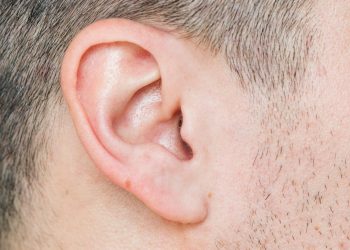 Los humanos perdieron la capacidad de girar sus oídos, pero estos músculos vestigiales todavía se contraen