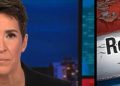 Rachel Maddow muestra cómo frenar a Trump