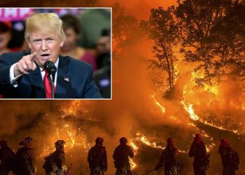 Breaking: Trump usa poderes de emergencia para enviar a los militares a los Estados Unidos a California y proporcionar agua: «Los días de poner un argumento ambiental falso, sobre la gente, han terminado». | El experto de la puerta de entrada