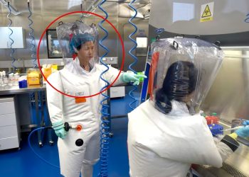 No puedes inventar esto: el Instituto de Virología Wuhan de China «descubre» otro coronavirus capaz de transmisión humana | El experto de la puerta de entrada