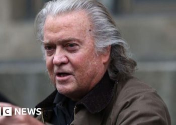 Steve Bannon se declara culpable en la caja de la pared fronteriza y evita el tiempo de la cárcel