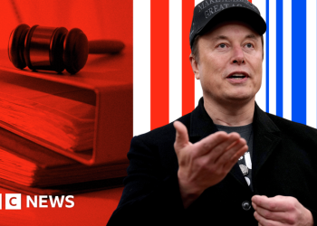 ¿Qué es Doge y por qué el almizcle está cortando tantos trabajos?