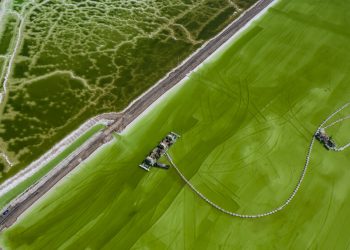 Cómo Trump y Biden persiguieron minerales críticos en Ucrania, Groenlandia y otros países