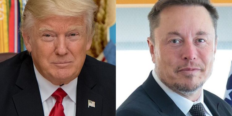 Las órdenes ejecutivas de Trump son clave para el éxito de Doge