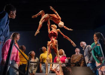 Body Worlds 2025 en Filadelfia: cuatro cosas que no pueden ver