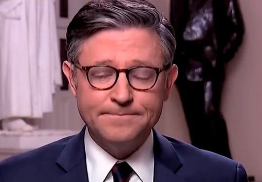 Delusional Mike Johnson afirma que los manifestantes en los ayuntamientos del Partido Republicano son plantas democráticas