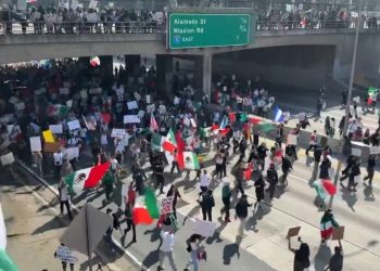 Sin ley: los manifestantes anti -hielo bloquean las porciones principales de la autopista de Los Ángeles (video) | El experto de la puerta de entrada