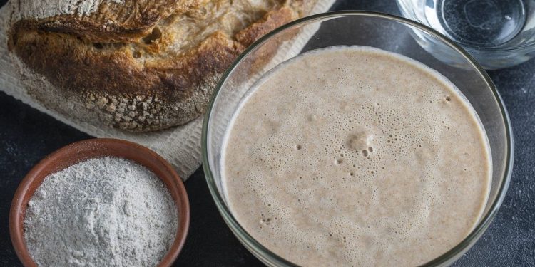 ¿Es saludable el pan de masa fermentada? – Mujeres saludables