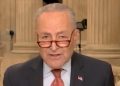 Chuck Schumer llama a los republicanos «bastardos» en vivo en el aire (video) | El experto de la puerta de entrada