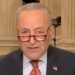 Chuck Schumer llama a los republicanos «bastardos» en vivo en el aire (video) | El experto de la puerta de entrada