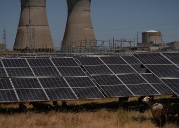 Las empresas eólicas y solares tienen un lanzamiento para Trump: «Nos vas a necesitar»