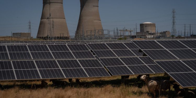 Las empresas eólicas y solares tienen un lanzamiento para Trump: «Nos vas a necesitar»