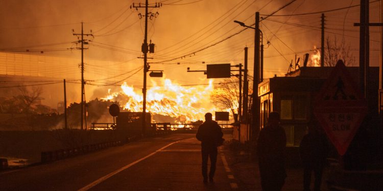 Los incendios de Corea del Sur matan al menos a 19 personas