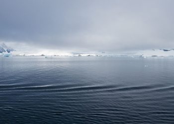 ¿Es segura la Antártida? 10 consejos para viajar seguros a la Antártida