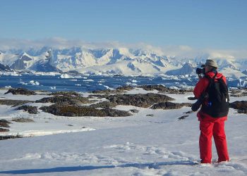15 mejores cosas que hacer en la Antártida