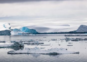 15 consejos increíbles para explorar la Antártida