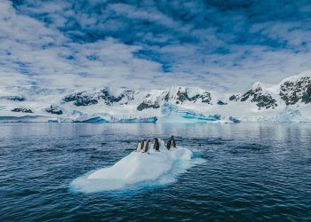 Explorando las diez principales atracciones de la Antártida para viajeros