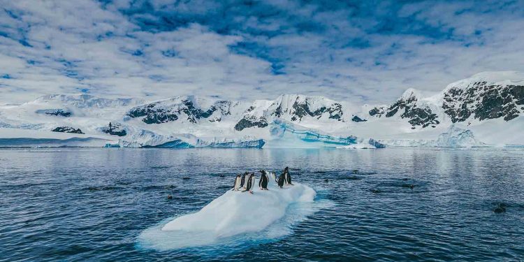 Explorando las diez principales atracciones de la Antártida para viajeros