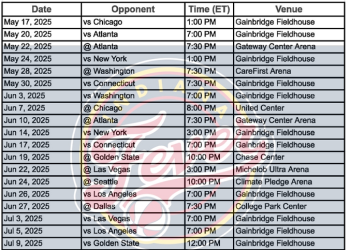 2025 calendario de fiebre de Indiana; Imprimible, formato PDF