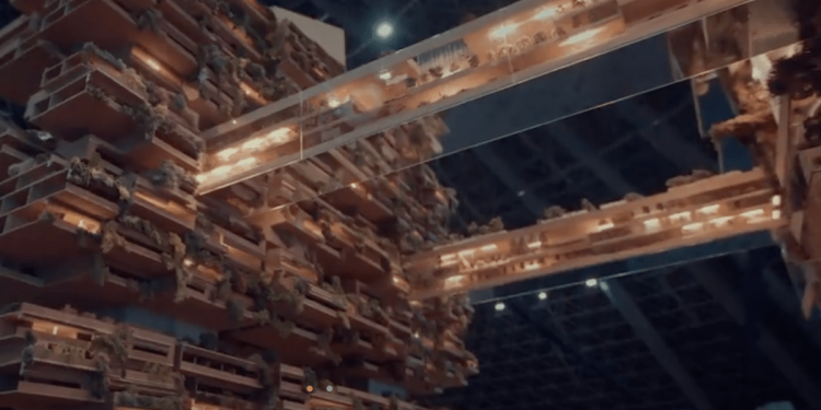 Según los informes, Neom se está convirtiendo en un desastre financiero, a excepción de McKinsey & Co.