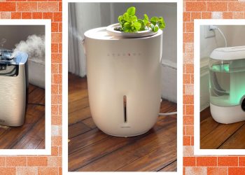 7 mejores humidificadores con cableas para el hogar y fuera (2025)