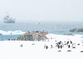 15 lugares para visitar en la Antártida no puede permitirse perderse