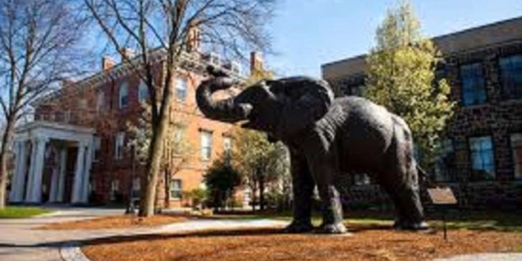 Las universidades deben desafiar las deportaciones de estudiantes basadas en el habla de Trump en la corte (actualizado)