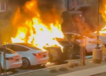 En el estado total, Elon Musk descubre que ninguna buena acción queda impune