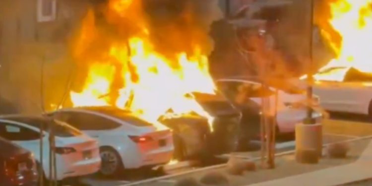 En el estado total, Elon Musk descubre que ninguna buena acción queda impune