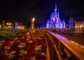 Disney World reduce el precio de AP por adelantado y aumenta los pagos