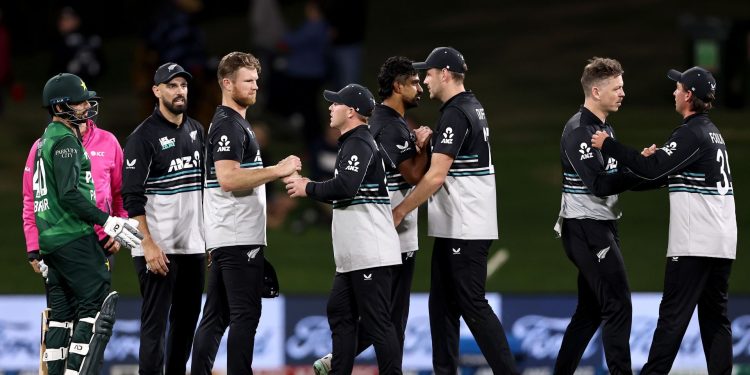 Sky Stadium, Wellington, Pitch History y T20i Records