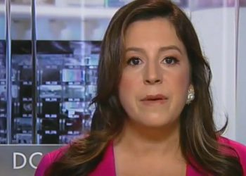 Trump tiene tanto miedo de perder elecciones especiales que envió a Elise Stefanik a la casa