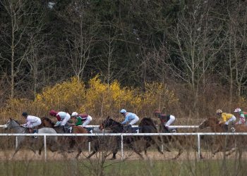 Hoy en Sky Sports Racing: Al Shabab Storm se enfrenta a Jabaara en Lady Wulfruna desde Wolverhampton | Noticias de carreras