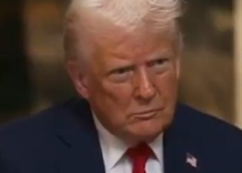 Wayne Root informa sobre el presidente Trump declarando la guerra en el estado administrativo … los «jueces de resistencia» … y el presidente Trump abandonó una bomba sobre las elecciones de 2020 | El experto de la puerta de entrada