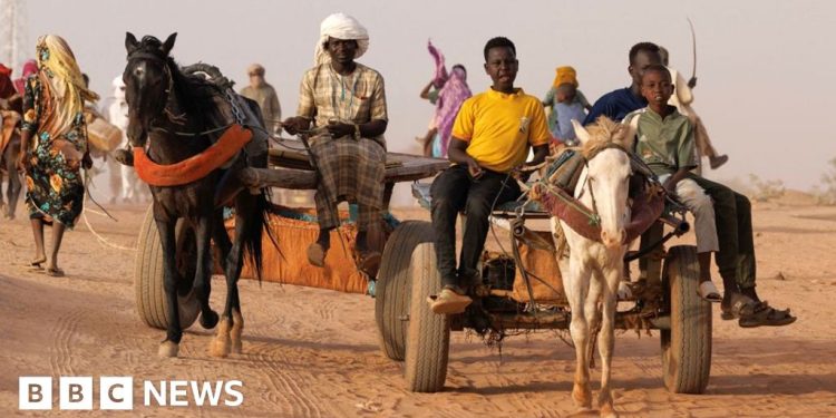 Sudán acusa a los EAU de 'complicidad en el genocidio' en ICJ