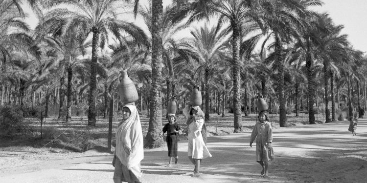 El Hawai de Israel: cómo Trump legitimó una visión israelí de larga data | Conflicto de israel-palestina