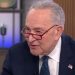 CNN suena la alarma para Chuck Schumer cuando sus números de encuesta se divierten entre los demócratas: «las sirenas deberían estar apagadas» (video) | El experto de la puerta de entrada