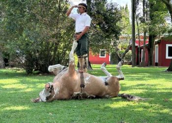 Buenos Aires, Colonia del Sacramento y San Antonio de Areco