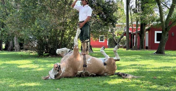 Buenos Aires, Colonia del Sacramento y San Antonio de Areco