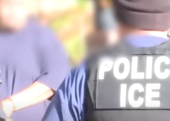 Encuesta: las políticas de inmigración han mejorado bajo Trump