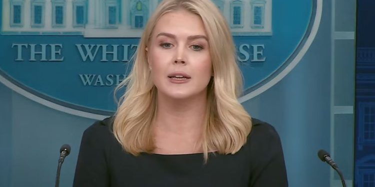 La Casa Blanca se prepara para perseguir a los no ciudadanos que defraudan los programas de derechos