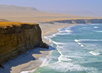 Maravillas de la vida silvestre de las playas costeras de Perú y Ecuador