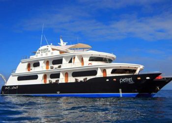 Cruce o salto: navegando por su Galápagos Odyssey