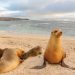 ¿Por qué son famosas las islas Galápagos? Maravillas únicas de la naturaleza