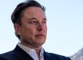 Ahora los republicanos están tratando de derrotar a Elon Musk, no son (todavía) nuestros amigos