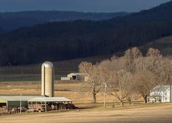 El USDA pagó para estudiar 'agricultores queer', masculinidad 'latina', y peor en el diez centavos de los contribuyentes