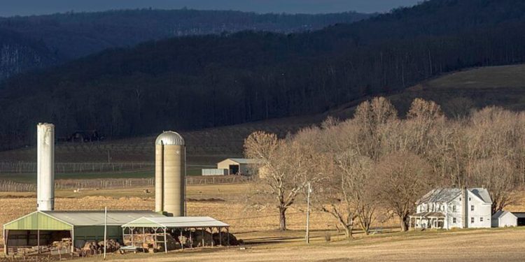 El USDA pagó para estudiar 'agricultores queer', masculinidad 'latina', y peor en el diez centavos de los contribuyentes