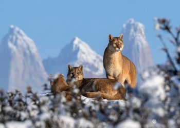 Fundación Cerro Guido