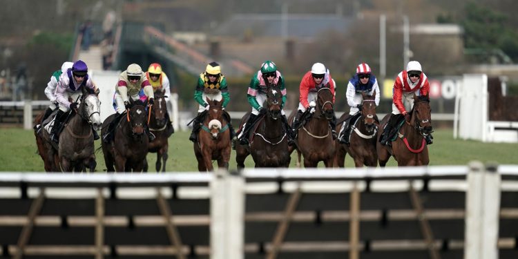 Hoy en Sky Sports Racing: Plumpton y Sedgefield Host Live Action | Noticias de carreras